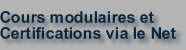 cours cad ou dao modulaires et certifications cad via internet